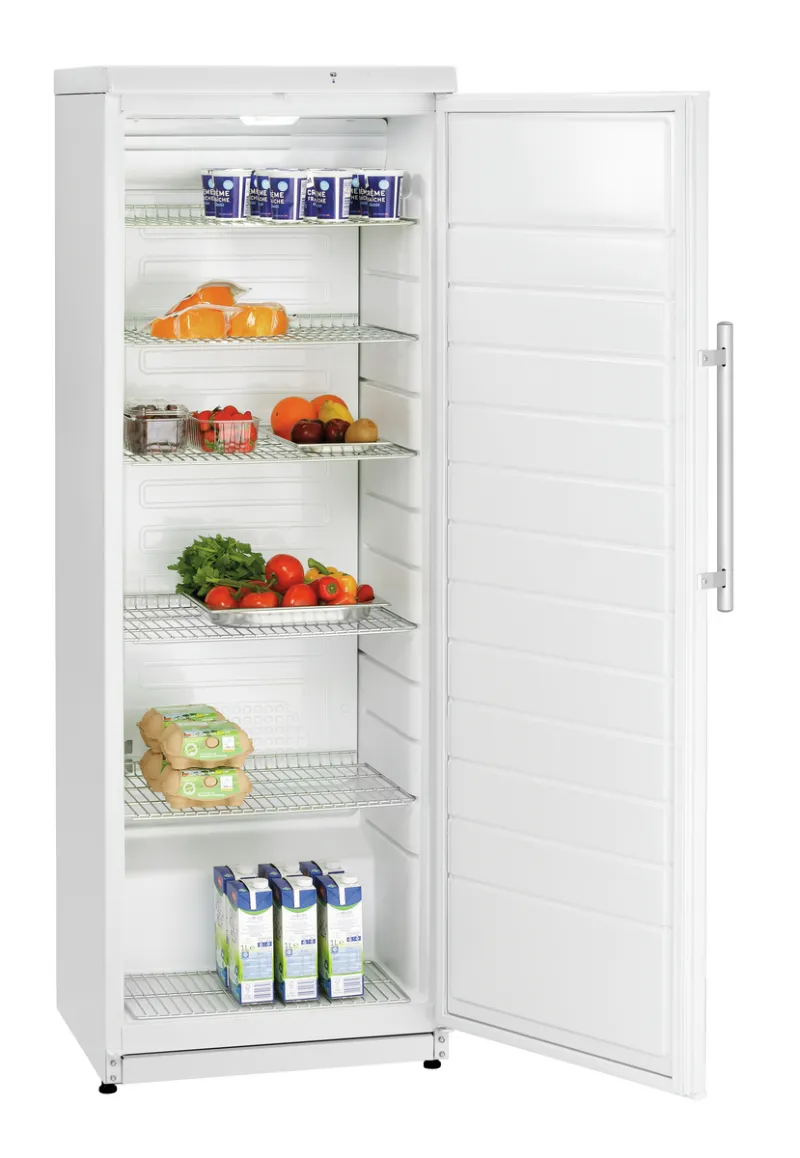 Bartscher Lagerkühlschrank 350 bei uns mieten